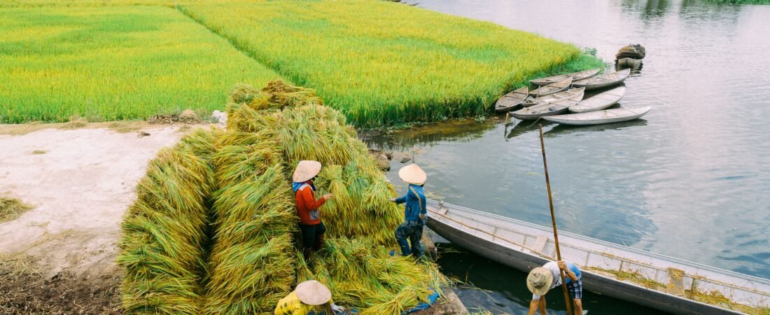 Delta del Mekong: Excursión de 1-3 Días (Guía 2026)