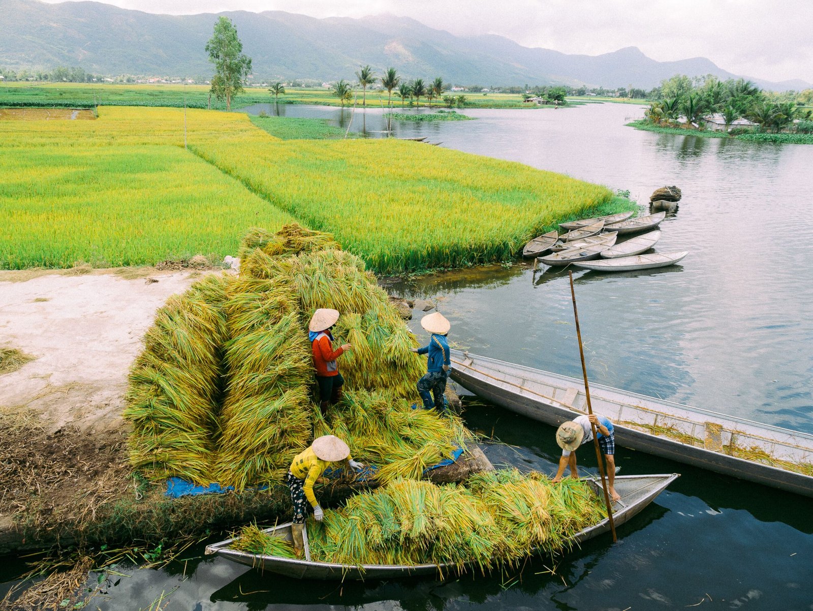 Delta del Mekong: Excursión de 1-3 Días (Guía 2026)
