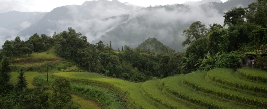 Mejor Época para Viajar a Vietnam: Norte, Centro y Sur (Guía 2026)