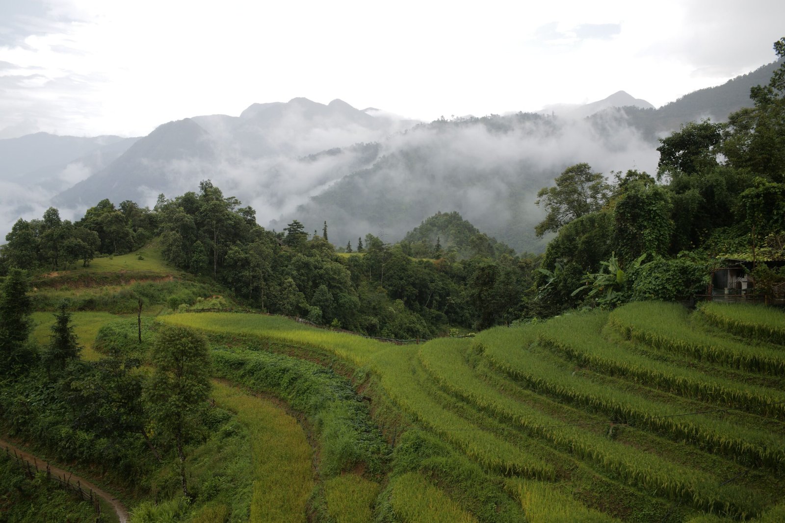 Mejor Época para Viajar a Vietnam: Norte, Centro y Sur (Guía 2026)