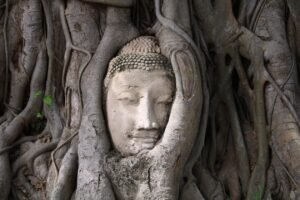 Cabeza de Buda entre raíces de árbol en Wat Mahathat, Ayutthaya
